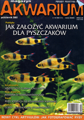 Akwarium Poland