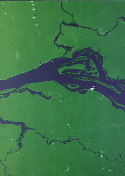 Foto satellite della NASA del negro de Rio