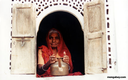indisches Fraufenster
