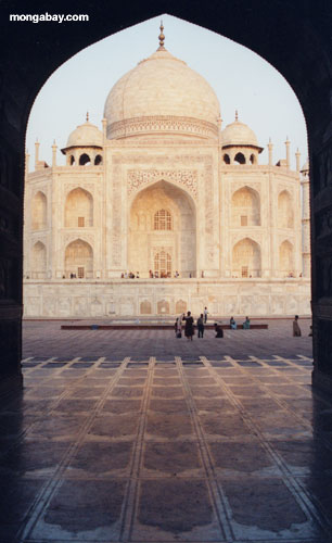 Taj Mahal Enmarcado