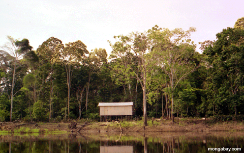 Amazonas Häuser