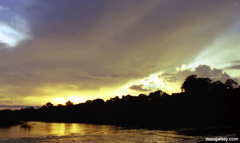Coucher du soleil D'�le D'Amazon, Br�sil