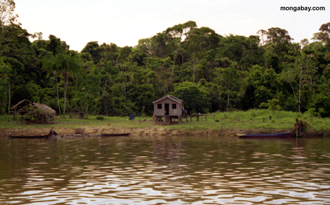 Amazonas Regelung