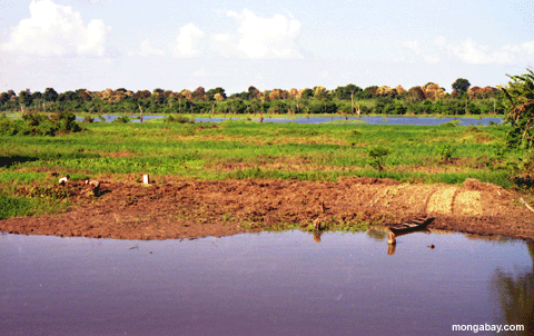 floodedplain Landwirtschaft