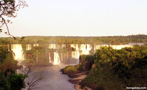 Quedas De Iguazu, Brasil