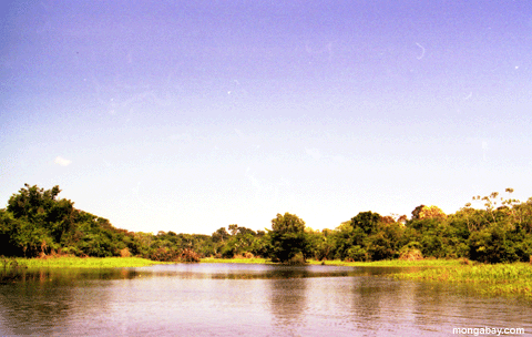 Lac Amazon Oxbow, Br�sil