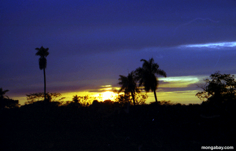pantanal Sonnenuntergang