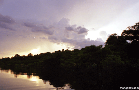 Puesta del sol De Riverbank, El Brasil