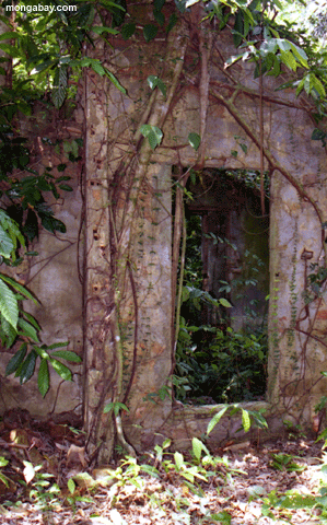 Puerta De las Ruinas, El Brasil