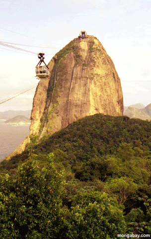 Sugarloaf, Brasil