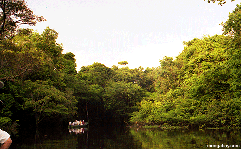 Touristen Amazonas