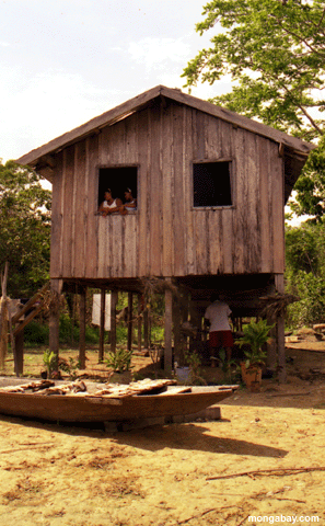 Capanna Del Villaggio Di Amazon, Brasile