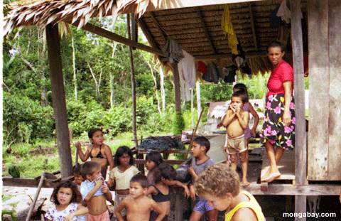 Gosses De Village D'Amazon, Br�sil