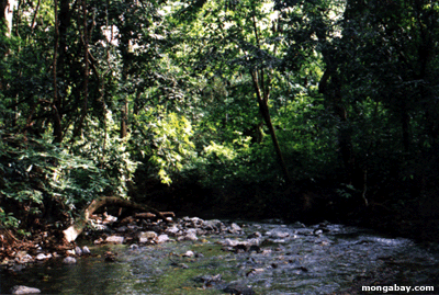 OSA creek