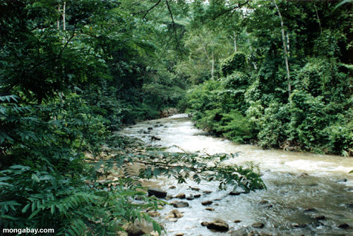 Costa-Rica Fluß