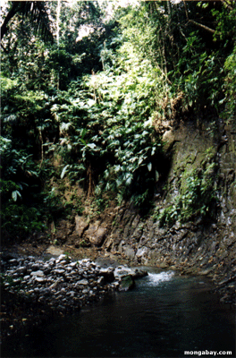 Cala De Costa Rica