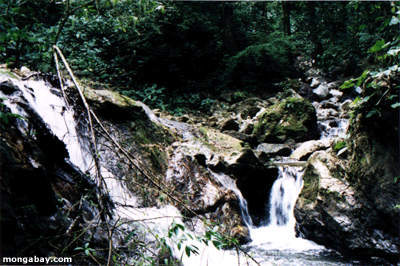 Creek De Costa Rica