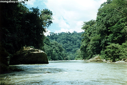Costa-Rica Pacuare Fluß