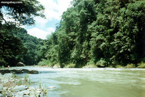 Costa-Rica Fluß