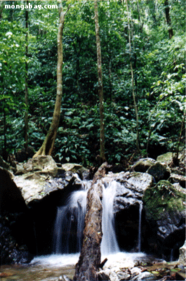Costa-Rica streamfalls