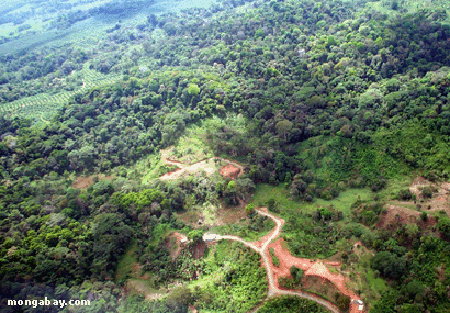 Pi�ces rapport�es De Deforested