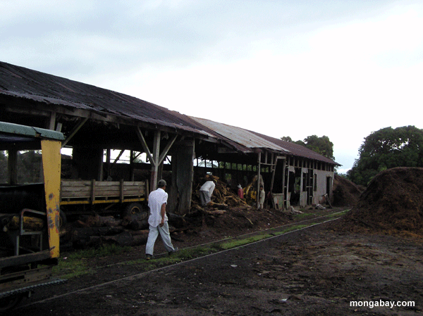 Sawmill De Cuero Salado, Honduras