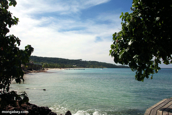 Strand in Roatan