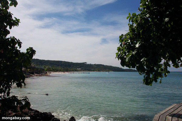 Spiaggia Di Roatan