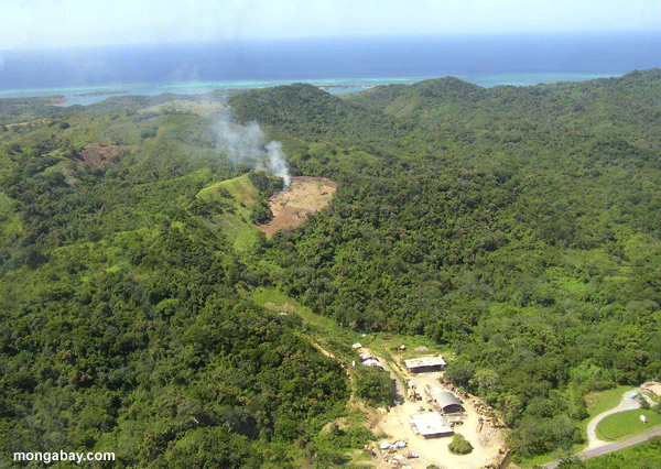 Wald, der für Landwirtschaft in Roatan, Honduras brennt