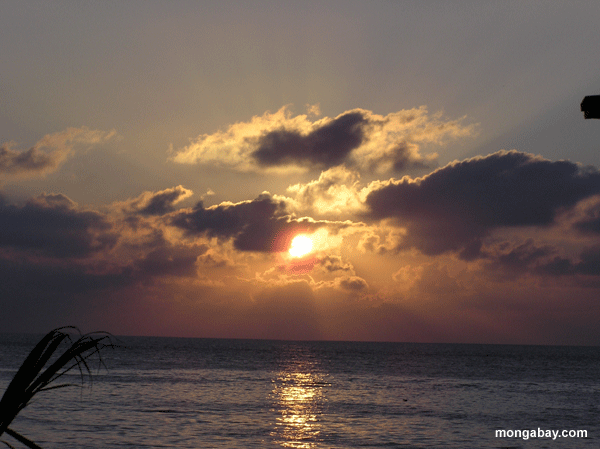Sonnenuntergang in Roatan, Honduras, im Caribbean