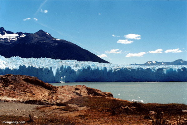 Glaciares