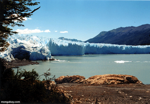 Glaciares De Argentina