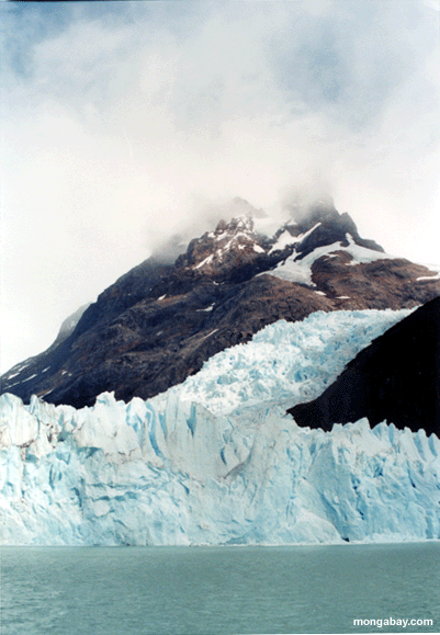 Glaciares