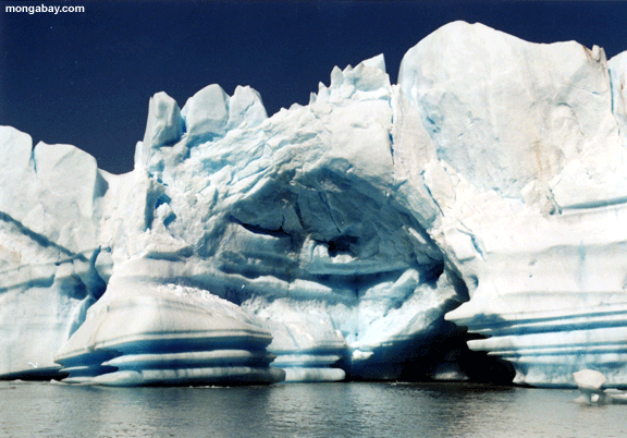Icebergs D'Upsala