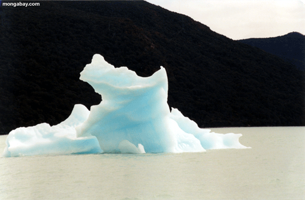 Iceberg De Upsala