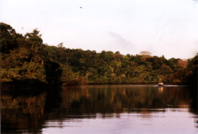 Früher Morgen auf dem Amazon