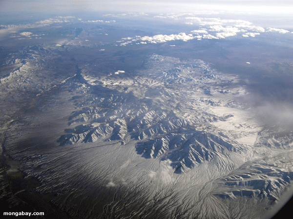 Montagne Neve-coperte, Stati Uniti