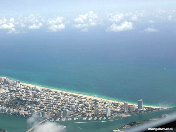 Spiaggia De Miami