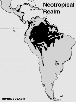 Carte g�n�rique des for�ts sud-am�ricaines