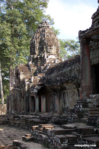 Bayon [Angkor Thom], Kambodscha 