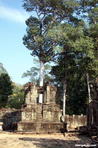 Bayon [Angkor Thom], Kambodscha 