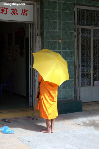 Monk, Phnom Penh