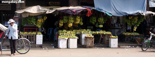 Escena De la Calle De Phnom Penh