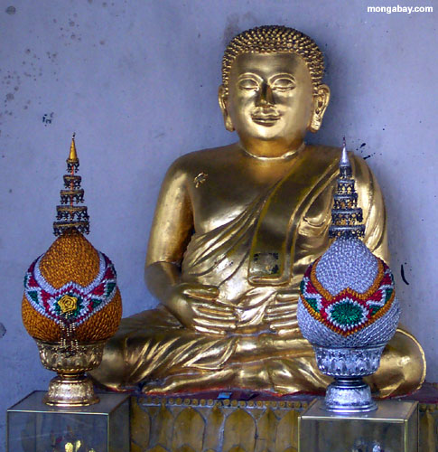Goldenes Buddha, Thailand