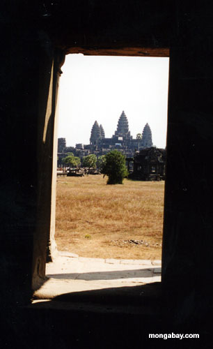 Perfil De Ankor Wat Enmarcado