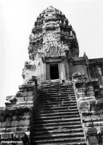 Torre central Angkor Wat da foto preta e branca, Cambodia