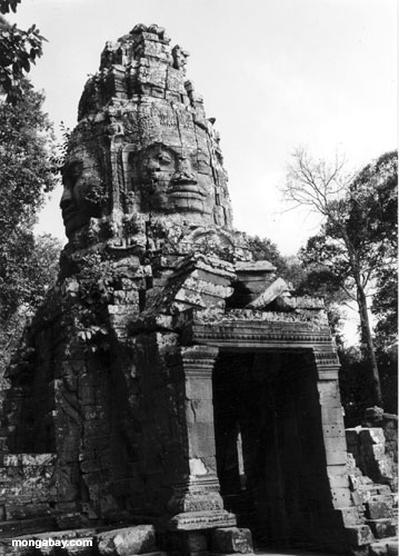 Cara preta e branca Angkor Wat da foto, Cambodia