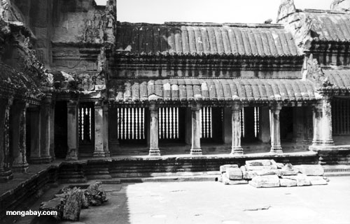 Pilares negros y blancos Angkor interior Wat, Camboya de la foto
