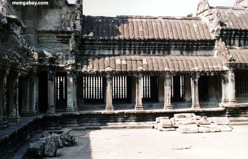 Colonne Angkor Interno Wat