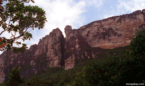 Descendeur D'Auyantepui, Venezuela